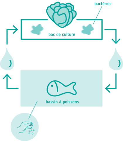 <p>Industrial control systems can be used in smart urban farms, for example for aquaponics. (Image: <a href="http://www.exodesurbains.com/">Exodes Urbains</a>)</p>